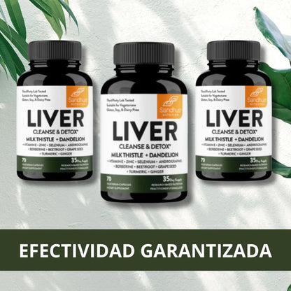 LIVER SUPLEMENTO HEPÁTICO